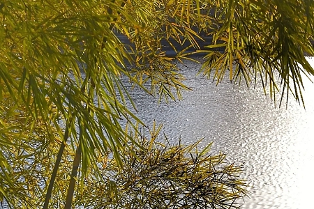 Ԣl(f)ؔ?sh)Ĺ˾ִ? title=