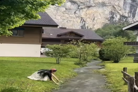 ֹِ˾ȫ